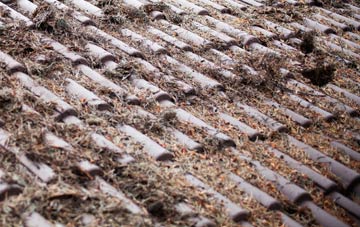 Danaway roof cleaning companies